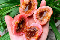 [ẢNH] Điểm danh những loại quả gắn liền với tuổi thơ của nhiều người Việt Nam