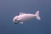 [ẢNH] Những robot động vật giúp cuộc sống của bạn trở nên dễ dàng hơn