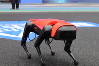 [ẢNH] Những robot động vật giúp cuộc sống của bạn trở nên dễ dàng hơn