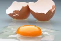 [ẢNH] Những thực phẩm đại kỵ đối với loài chó