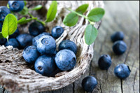 [Ảnh] Những thực phẩm 'nhất định phải ăn' khi bị mỡ máu cao