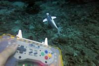 [ẢNH] Những robot động vật giúp cuộc sống của bạn trở nên dễ dàng hơn