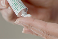 [Ảnh] Nhận diện những dấu hiệu tổn thương do kiến ba khoang và cách xử lý 