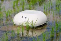 [ẢNH] Những robot động vật giúp cuộc sống của bạn trở nên dễ dàng hơn