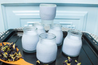 [ẢNH] Bật mí những món ăn ngon, bổ dưỡng làm từ hoa đậu biếc