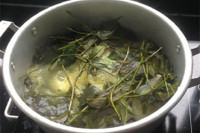 [ẢNH] Kỳ lạ chứng da vẽ nổi xuất hiện trên cơ thể con người 