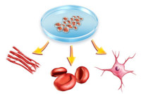 [Ảnh] Lợi ích không ngờ tới của việc ngủ sớm, ngủ đủ giấc