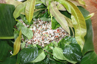 [ẢNH] 'Choáng' với những món ăn độc lạ từ loài kiến không phải ai cũng dám thử