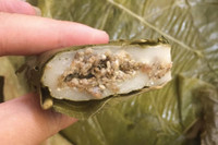 [ẢNH] 'Choáng' với những món ăn độc lạ từ loài kiến không phải ai cũng dám thử