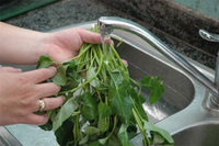 [ẢNH] Những lưu ý có lợi cho sức khỏe khi ăn rau sống 