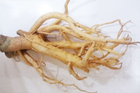 [ẢNH] Những loài cây chữa bệnh ‘nhất định phải có’ trong vườn nhà bạn