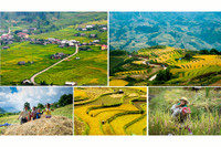 [ẢNH] Bỏ túi những kinh nghiệm du lịch Tây Bắc an toàn, 'siêu' tiết kiệm