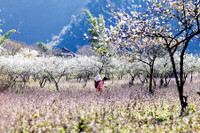 [ẢNH] Bỏ túi những kinh nghiệm du lịch Tây Bắc an toàn, 'siêu' tiết kiệm