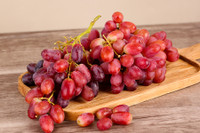 [ẢNH] Những thực phẩm đại kỵ đối với loài chó