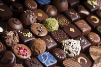 [ẢNH] Những thực phẩm đại kỵ đối với loài chó