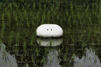 [ẢNH] Những robot động vật giúp cuộc sống của bạn trở nên dễ dàng hơn