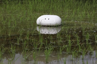 [ẢNH] Những robot động vật giúp cuộc sống của bạn trở nên dễ dàng hơn