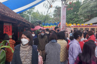 Phố sách xuân Nhâm Dần 2022 rộn ràng trong những ngày đầu năm mới