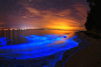 [ẢNH] Cảnh quan siêu thực trên những bãi biển độc lạ nhất hành tinh