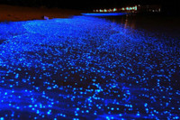 [ẢNH] Chiêm ngưỡng hình ảnh tuyệt đẹp của những hiện tượng tự nhiên kỳ thú 