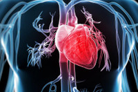 [ẢNH] Bếp than tổ ong: Những ẩn họa khôn lường