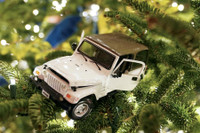 [ẢNH] Giáng sinh năm 2020 tại Nhà Trắng có gì khác biệt?