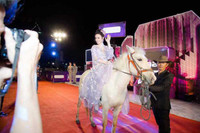 [ẢNH] Chuyện lạ mà quen: Sao Việt đua nhau đưa thú cưng lên thảm đỏ 