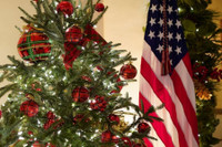 [ẢNH] Giáng sinh năm 2020 tại Nhà Trắng có gì khác biệt?