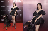 [ẢNH] Chuyện lạ mà quen: Sao Việt đua nhau đưa thú cưng lên thảm đỏ 