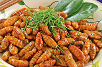 [ẢNH] Những loại đặc sản 'nhìn thì ghê ăn thì mê' ở Việt Nam