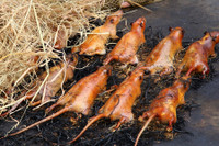 [ẢNH] Những loại đặc sản 'nhìn thì ghê ăn thì mê' ở Việt Nam