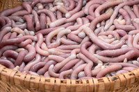 [ẢNH] Những loại đặc sản 'nhìn thì ghê ăn thì mê' ở Việt Nam