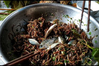 [ẢNH] Những loại đặc sản 'nhìn thì ghê ăn thì mê' ở Việt Nam