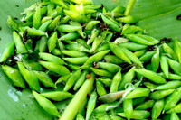 [ẢNH] Những loại đặc sản 'nhìn thì ghê ăn thì mê' ở Việt Nam