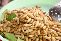 [ẢNH] Những loại đặc sản 'nhìn thì ghê ăn thì mê' ở Việt Nam