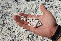 [ẢNH] Cảnh quan siêu thực trên những bãi biển độc lạ nhất hành tinh