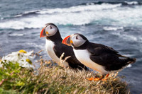 [ẢNH] Kỳ lạ ngôi nhà cô độc nhất thế giới