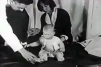 [ẢNH] Rùng mình với những thí nghiệm tâm lý đáng sợ nhất mọi thời đại 