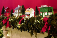 [ẢNH] Giáng sinh năm 2020 tại Nhà Trắng có gì khác biệt?