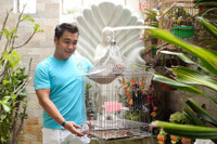 [ẢNH] Dàn ‘mỹ nam’ Việt giàu có vẫn ‘lẻ bóng’ ở tuổi U50