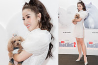 [ẢNH] Chuyện lạ mà quen: Sao Việt đua nhau đưa thú cưng lên thảm đỏ 