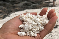 [ẢNH] Cảnh quan siêu thực trên những bãi biển độc lạ nhất hành tinh