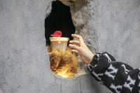 [ẢNH] Khám phá 5 quán cà phê kỳ lạ nhất thế giới 