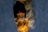 [ẢNH] Khám phá 5 quán cà phê kỳ lạ nhất thế giới 