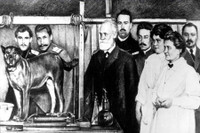 [ẢNH] Rùng mình với những thí nghiệm tâm lý đáng sợ nhất mọi thời đại 