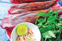 [ẢNH] Những loài cá có hình thù xấu xí nhưng giá bán đắt đỏ, có tiền cũng khó mua được