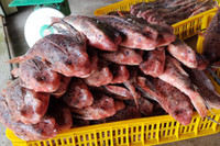 [ẢNH] Những loài cá có hình thù xấu xí nhưng giá bán đắt đỏ, có tiền cũng khó mua được