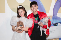 [ẢNH] Chuyện lạ mà quen: Sao Việt đua nhau đưa thú cưng lên thảm đỏ 