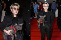 [ẢNH] Chuyện lạ mà quen: Sao Việt đua nhau đưa thú cưng lên thảm đỏ 