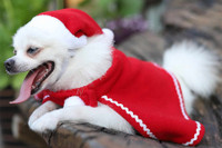 [ẢNH] Những món quà Noel ý nghĩa và thiết thực cho trẻ em 